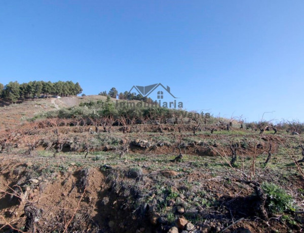 Suelo rústico en Venta en Puntagorda Santa Cruz de Tenerife 