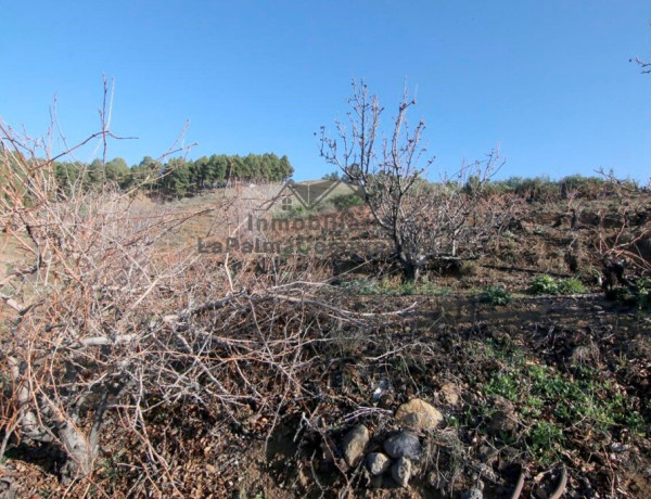 Suelo rústico en Venta en Puntagorda Santa Cruz de Tenerife 