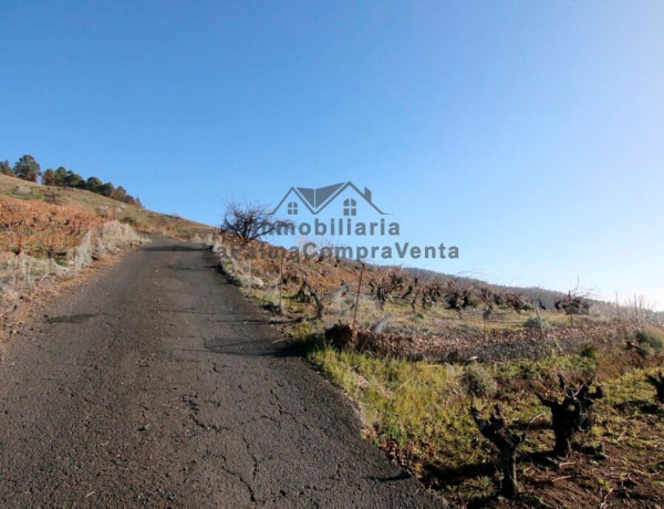 Suelo rústico en Venta en Puntagorda Santa Cruz de Tenerife 