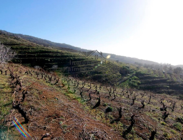 Suelo rústico en Venta en Puntagorda Santa Cruz de Tenerife 