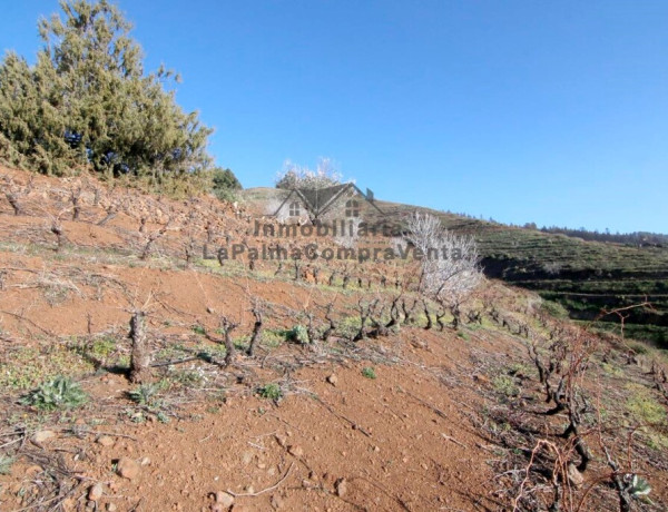 Suelo rústico en Venta en Puntagorda Santa Cruz de Tenerife 