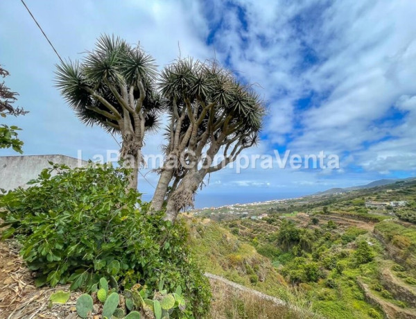 House-Villa For sell in Barlovento in Santa Cruz de Tenerife 