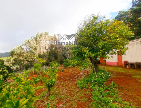 Casa de campo-Masía en Venta en Llano Negro Santa Cruz de Tenerife 