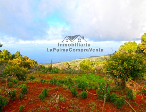 Casa de campo-Masía en Venta en Llano Negro Santa Cruz de Tenerife 