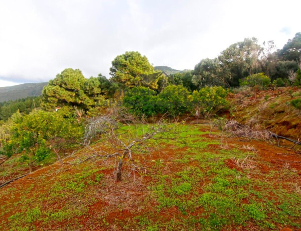 Country house For sell in Llano Negro in Santa Cruz de Tenerife 