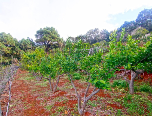 Casa de campo-Masía en Venta en Llano Negro Santa Cruz de Tenerife 