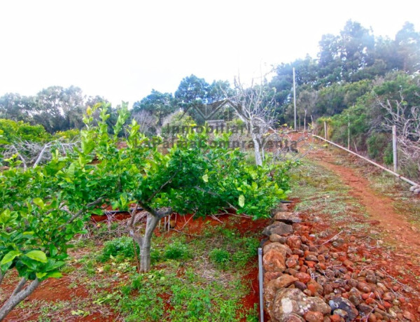 Country house For sell in Llano Negro in Santa Cruz de Tenerife 