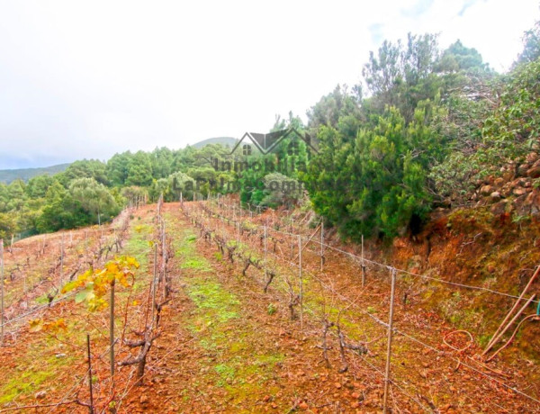 Country house For sell in Llano Negro in Santa Cruz de Tenerife 