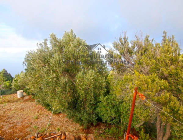 Casa de campo-Masía en Venta en Llano Negro Santa Cruz de Tenerife 
