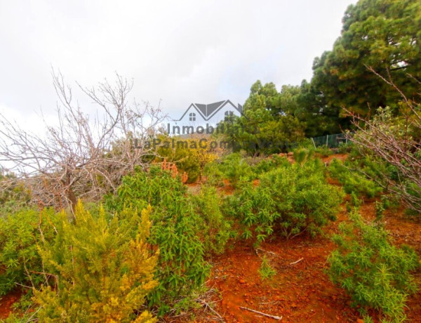 Casa de campo-Masía en Venta en Llano Negro Santa Cruz de Tenerife 