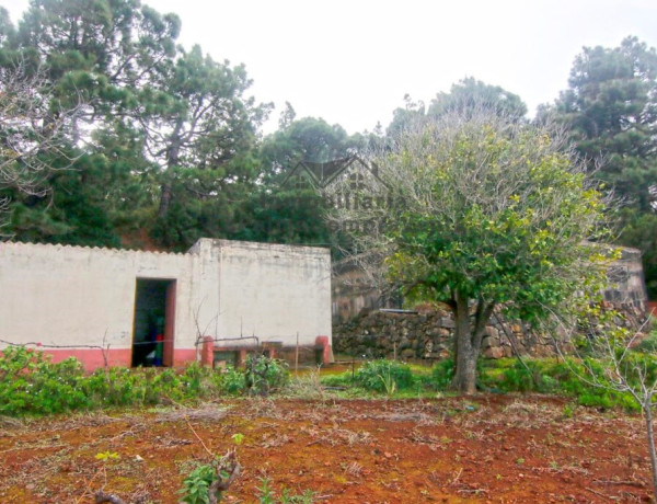 Country house For sell in Llano Negro in Santa Cruz de Tenerife 