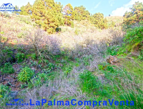 Rustic land For sell in Aguatavar in Santa Cruz de Tenerife 