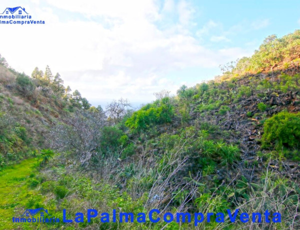 Rustic land For sell in Aguatavar in Santa Cruz de Tenerife 