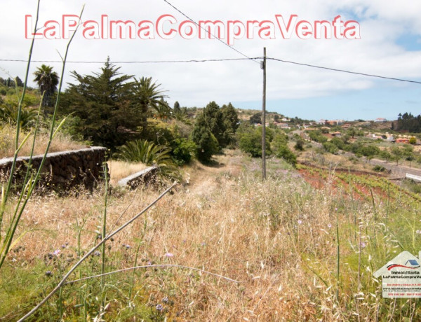 Solar urbano en Venta en Puntagorda Santa Cruz de Tenerife 