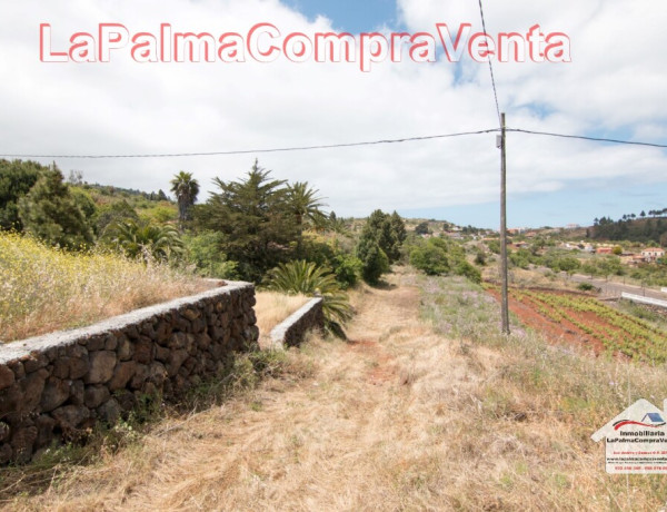 Solar urbano en Venta en Puntagorda Santa Cruz de Tenerife 