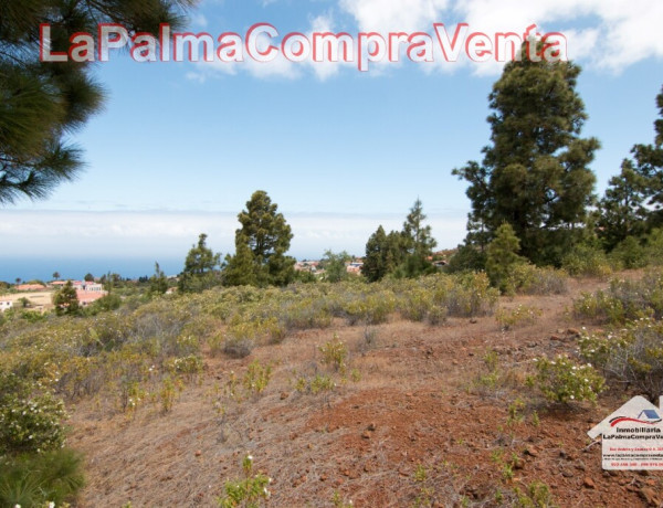 Solar urbano en Venta en Puntagorda Santa Cruz de Tenerife 