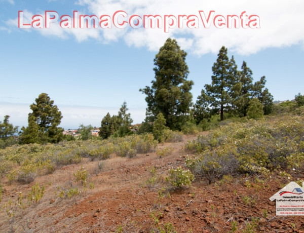 Solar urbano en Venta en Puntagorda Santa Cruz de Tenerife 