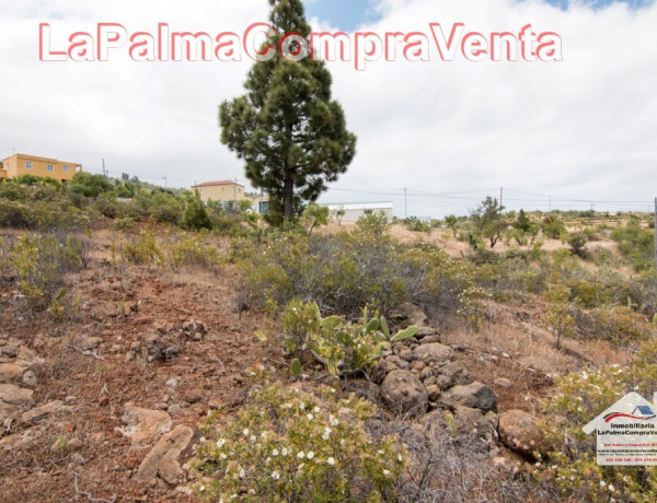 Solar urbano en Venta en Puntagorda Santa Cruz de Tenerife 