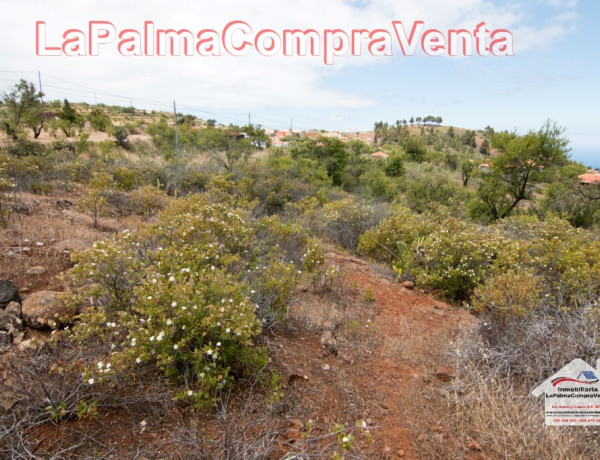 Solar urbano en Venta en Puntagorda Santa Cruz de Tenerife 