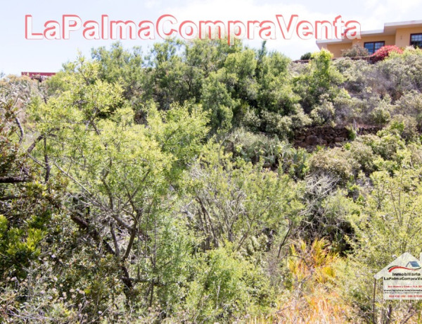 Suelo rústico en Venta en Puntagorda Santa Cruz de Tenerife 