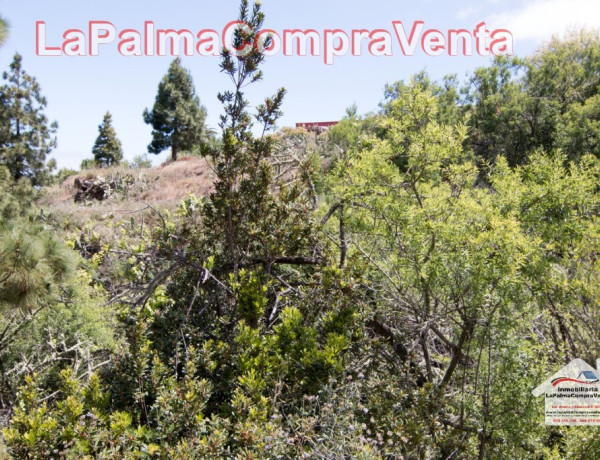 Suelo rústico en Venta en Puntagorda Santa Cruz de Tenerife 