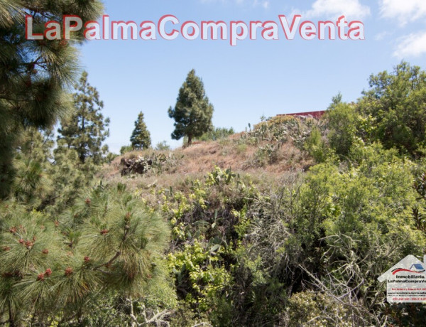 Suelo rústico en Venta en Puntagorda Santa Cruz de Tenerife 