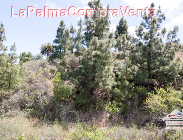 Suelo rústico en Venta en Puntagorda Santa Cruz de Tenerife 