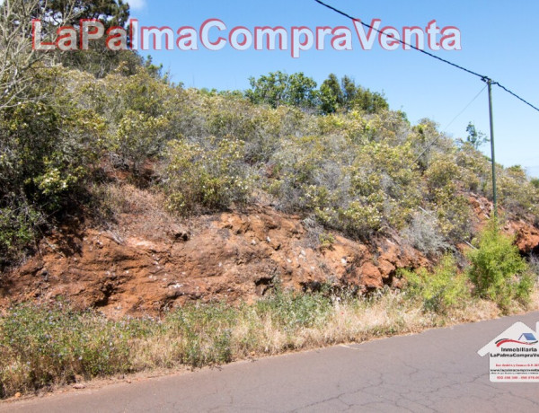 Suelo rústico en Venta en Puntagorda Santa Cruz de Tenerife 