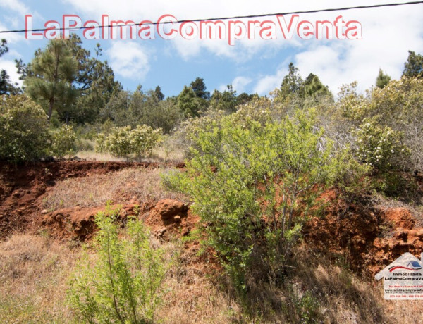 Suelo rústico en Venta en Puntagorda Santa Cruz de Tenerife 