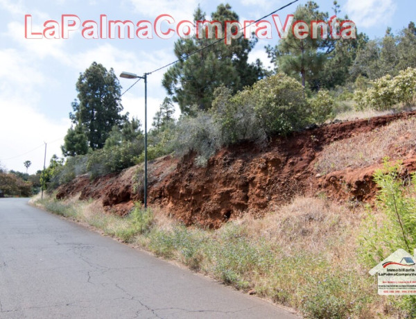 Suelo rústico en Venta en Puntagorda Santa Cruz de Tenerife 