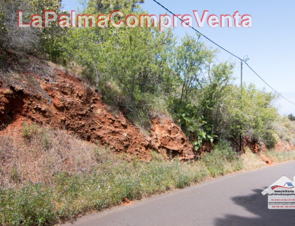 Suelo rústico en Venta en Puntagorda Santa Cruz de Tenerife 