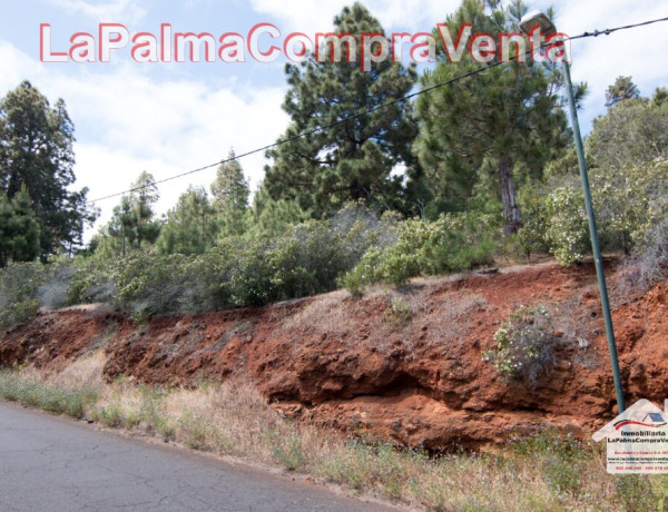 Suelo rústico en Venta en Puntagorda Santa Cruz de Tenerife 