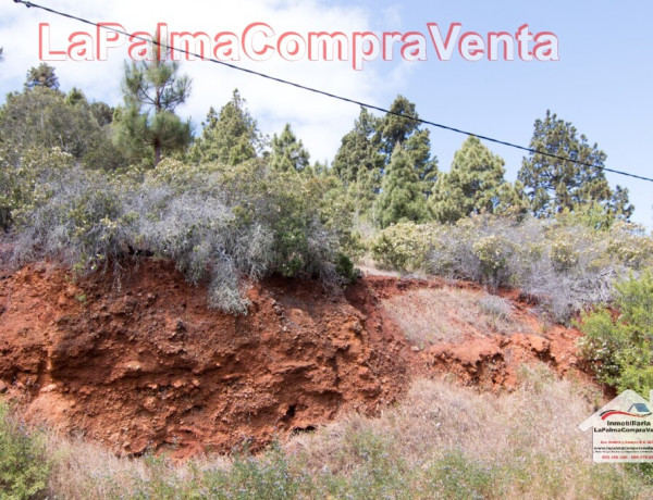 Suelo rústico en Venta en Puntagorda Santa Cruz de Tenerife 