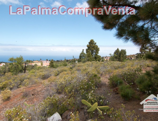 Suelo urbanizable en Venta en Puntagorda Santa Cruz de Tenerife 
