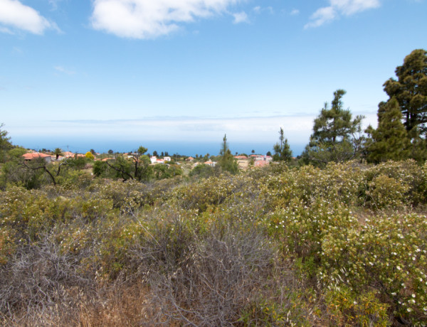 Suelo urbanizable en Venta en Puntagorda Santa Cruz de Tenerife 
