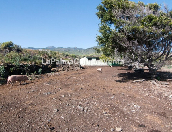 Rustic land For sell in Lodero in Santa Cruz de Tenerife 