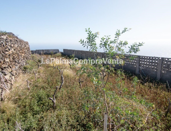 Rustic land For sell in Lodero in Santa Cruz de Tenerife 