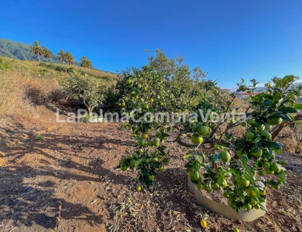 Casa-Chalet en Venta en Breña Alta Santa Cruz de Tenerife 