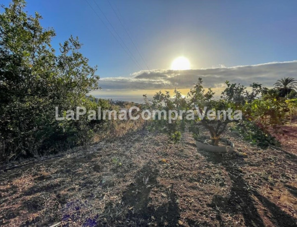 Casa-Chalet en Venta en Breña Alta Santa Cruz de Tenerife 