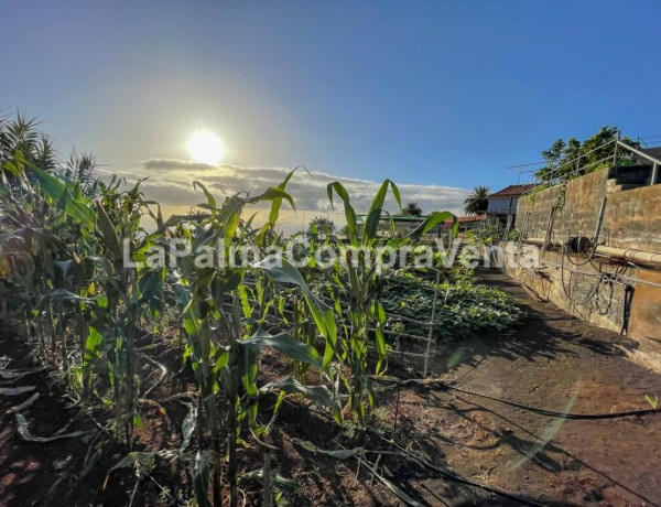 Casa-Chalet en Venta en Breña Alta Santa Cruz de Tenerife 