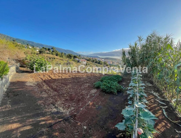 Casa-Chalet en Venta en Breña Alta Santa Cruz de Tenerife 