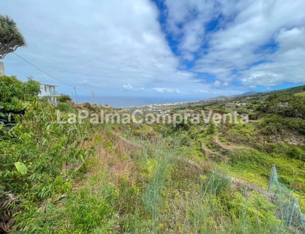 House-Villa For sell in Barlovento in Santa Cruz de Tenerife 