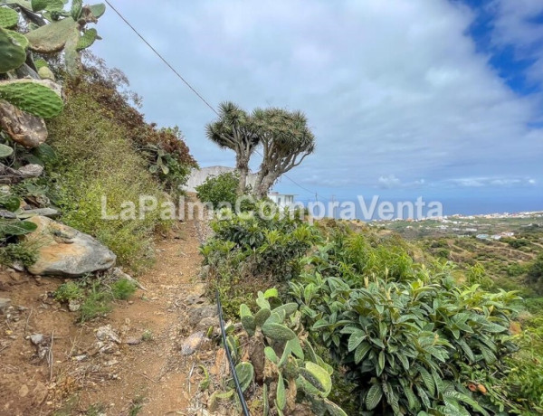 House-Villa For sell in Barlovento in Santa Cruz de Tenerife 