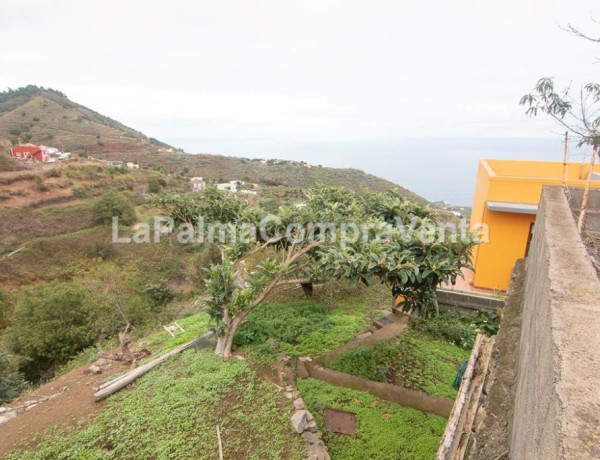 House-Villa For sell in Barlovento in Santa Cruz de Tenerife 