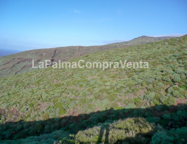 Land being developed For sell in Tricias, Las in Santa Cruz de Tenerife 