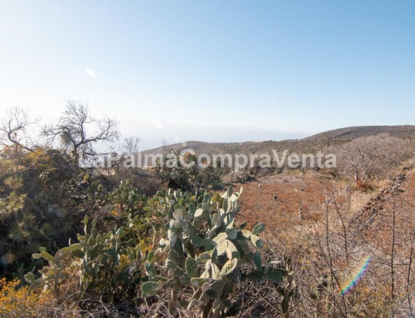 Rustic land For sell in Puntagorda in Santa Cruz de Tenerife 