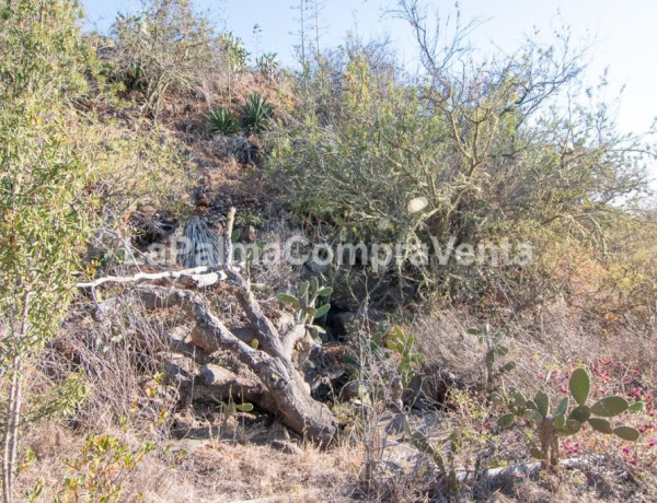 Rustic land For sell in Puntagorda in Santa Cruz de Tenerife 