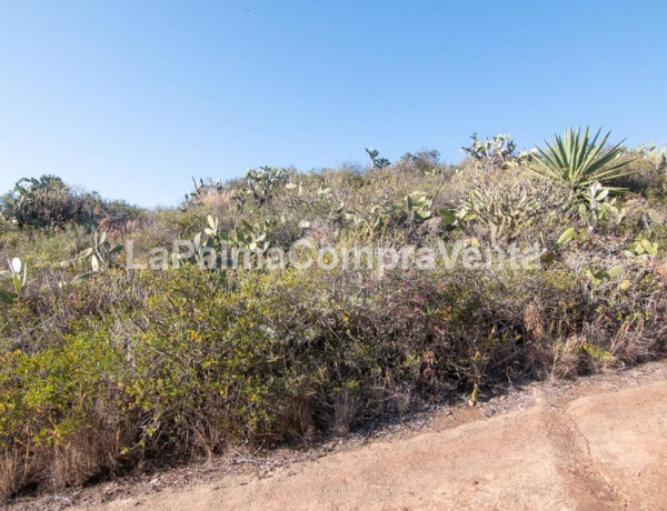 Rustic land For sell in Puntagorda in Santa Cruz de Tenerife 