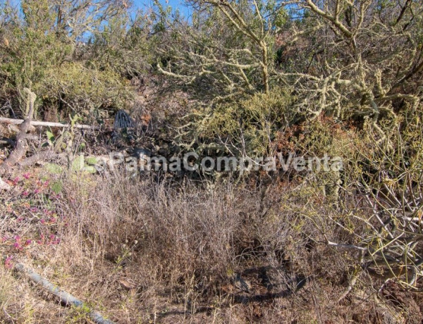 Suelo rústico en Venta en Puntagorda Santa Cruz de Tenerife 