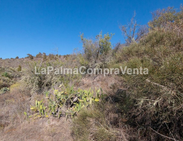 Rustic land For sell in Puntagorda in Santa Cruz de Tenerife 